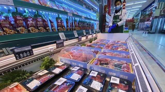Bisnis Frozen Food